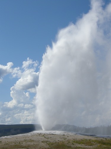 old faithful