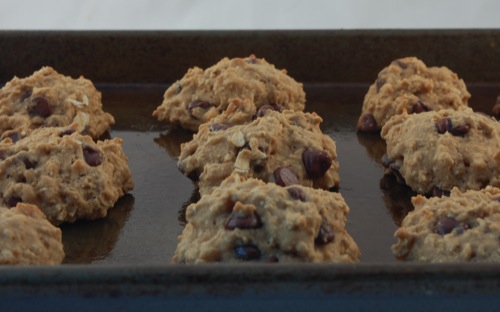 Fat Free Vegan Butter Bean Cookies