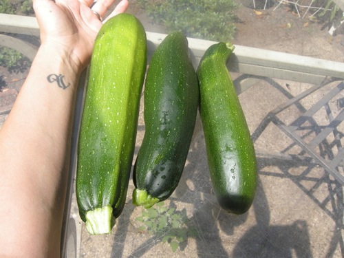 will zucchini make you fat