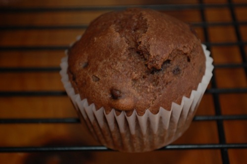 Picture of Double Chocolate Muffins