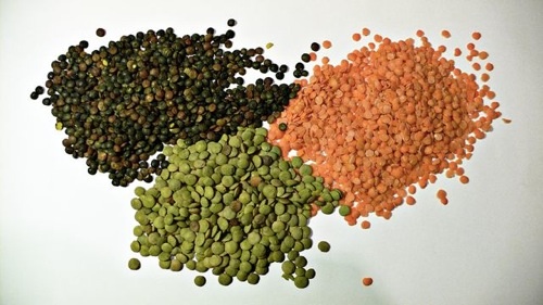 red, green, and black lentils next to each other