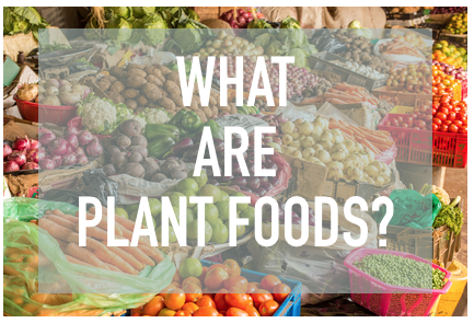 What's the Difference Plant-Based and Vegan?